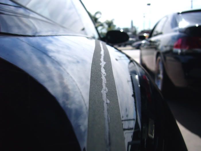 Paint chip repair ? Autopia ForumAuto Detailing & Car Care